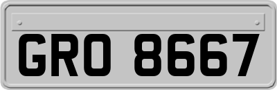 GRO8667