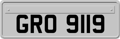 GRO9119