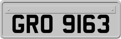 GRO9163