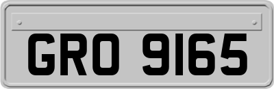 GRO9165