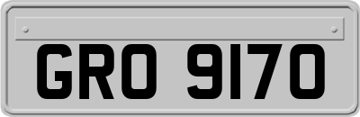 GRO9170