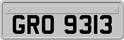 GRO9313
