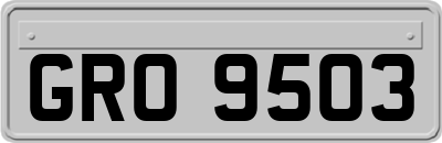 GRO9503
