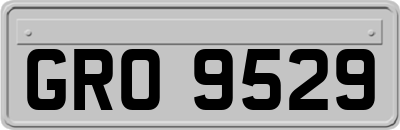 GRO9529