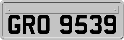 GRO9539