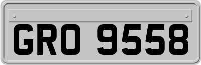 GRO9558