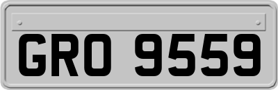 GRO9559