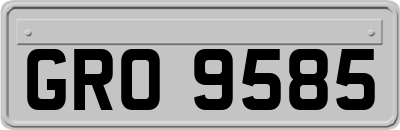 GRO9585