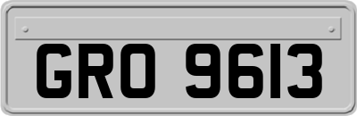 GRO9613