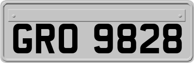 GRO9828