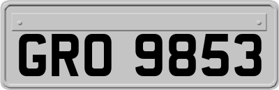 GRO9853