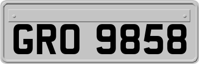 GRO9858