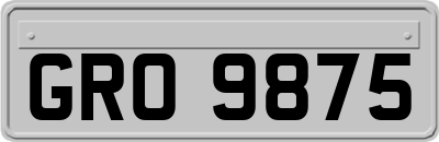 GRO9875