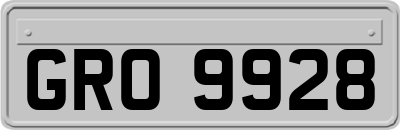 GRO9928