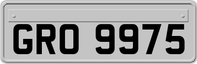 GRO9975