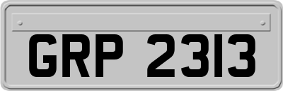 GRP2313