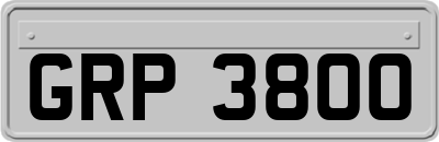GRP3800