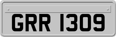 GRR1309