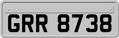 GRR8738