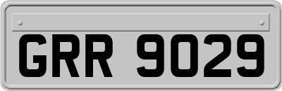 GRR9029