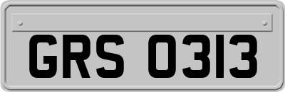 GRS0313