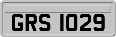 GRS1029
