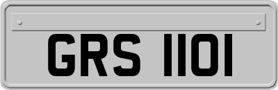 GRS1101