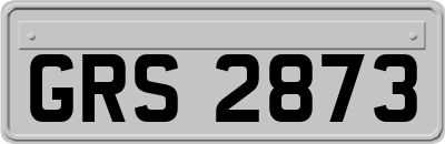 GRS2873