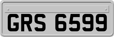 GRS6599