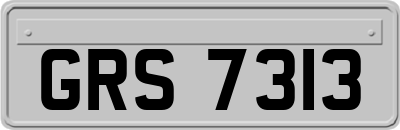 GRS7313