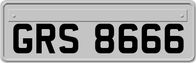 GRS8666