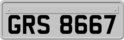 GRS8667