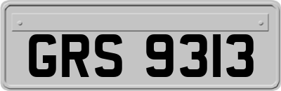GRS9313