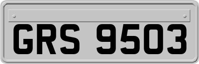 GRS9503