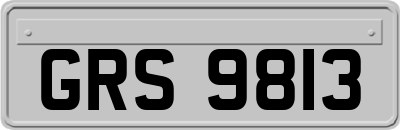 GRS9813
