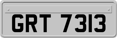 GRT7313