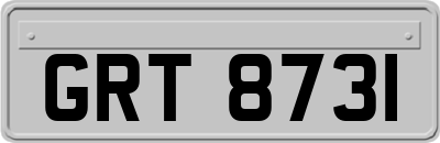 GRT8731