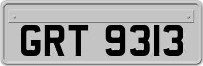 GRT9313