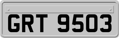 GRT9503