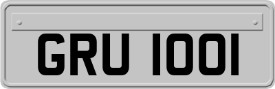 GRU1001