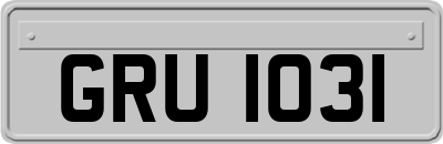 GRU1031