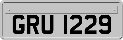 GRU1229