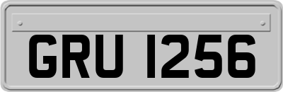 GRU1256