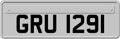 GRU1291