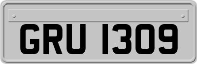 GRU1309