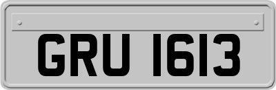 GRU1613