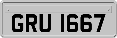 GRU1667