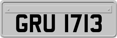 GRU1713
