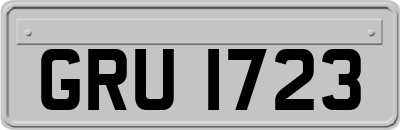 GRU1723