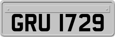 GRU1729